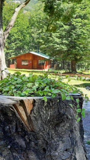 Cabañas Rápidos del Río Baker